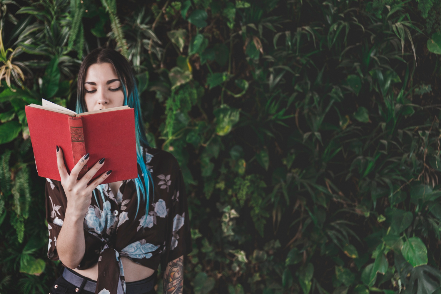 Libros para aclimatarse