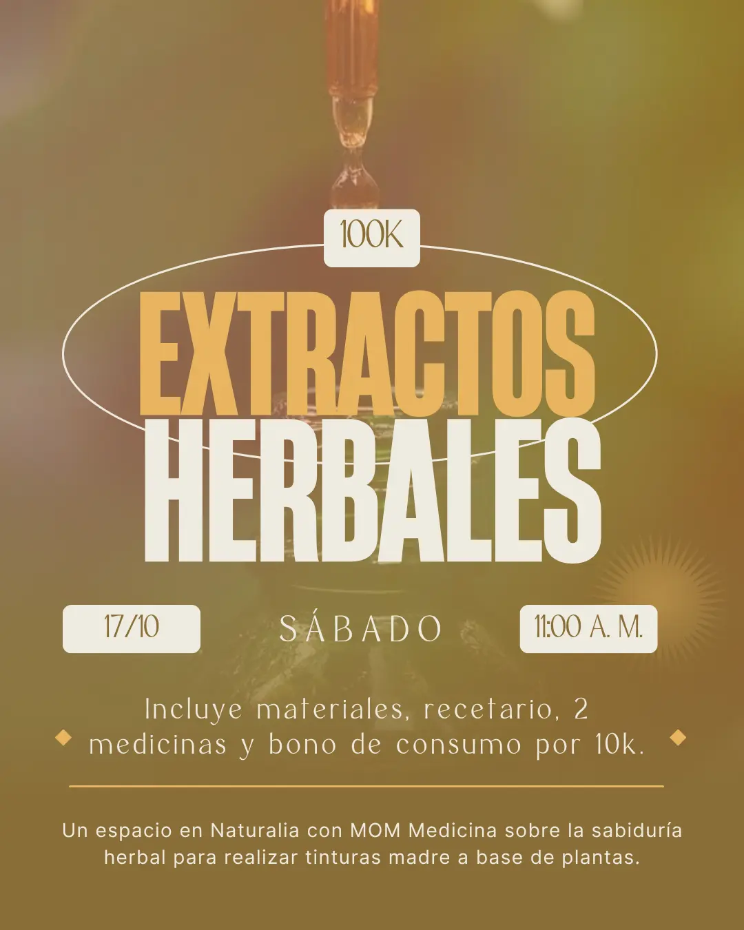 Taller de Extractos Herbales