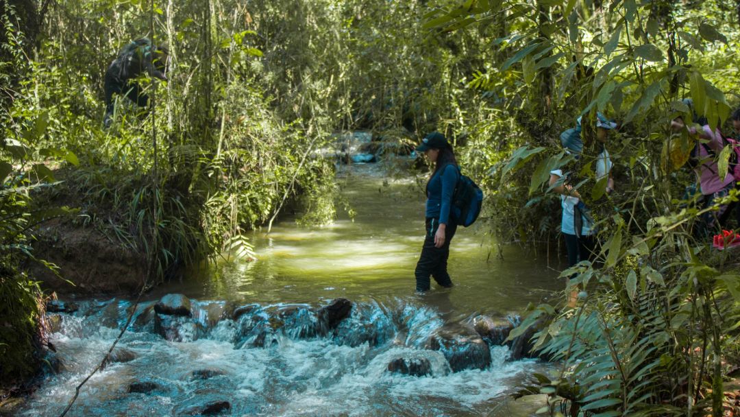 Senderismo a las Cascadas de Guarne
