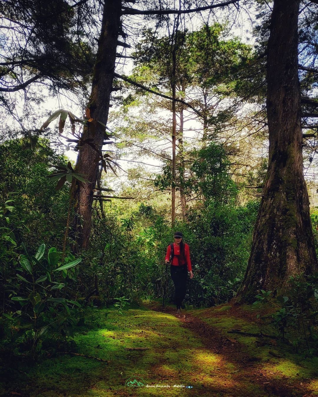 Senderismo al Parque Arví