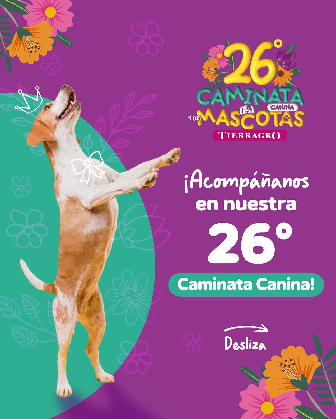 Caminata Canina y de Mascotas Tierragro 2025