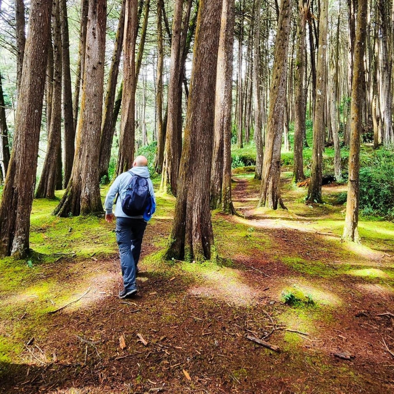 Senderismo Bosques del Rosario