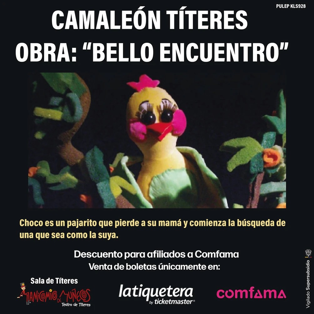 Bello encuentro