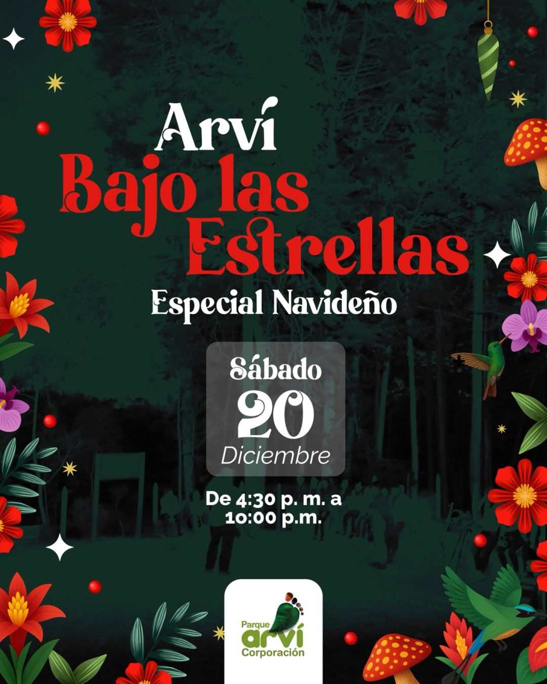 Arví Bajo las Estrellas