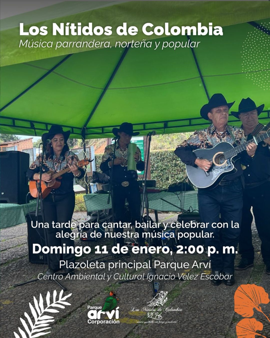 Los Nítidos de Colombia