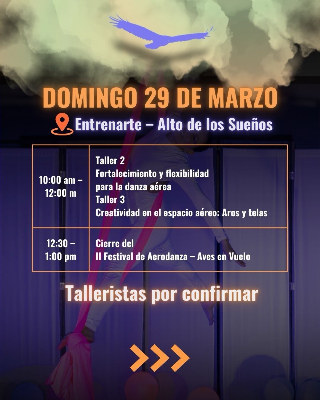 Programación II Festival de Aerodanza: Aves en Vuelo