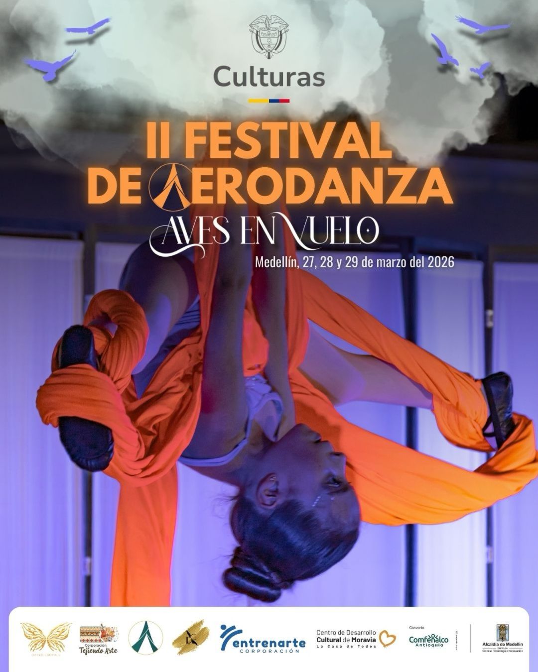 II Festival de Aerodanza: Aves en Vuelo