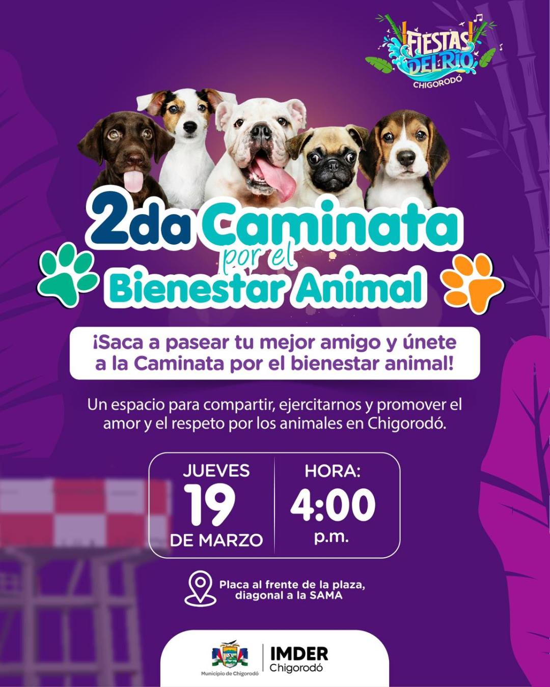 Programación Fiestas del Río Chigorodó 2026