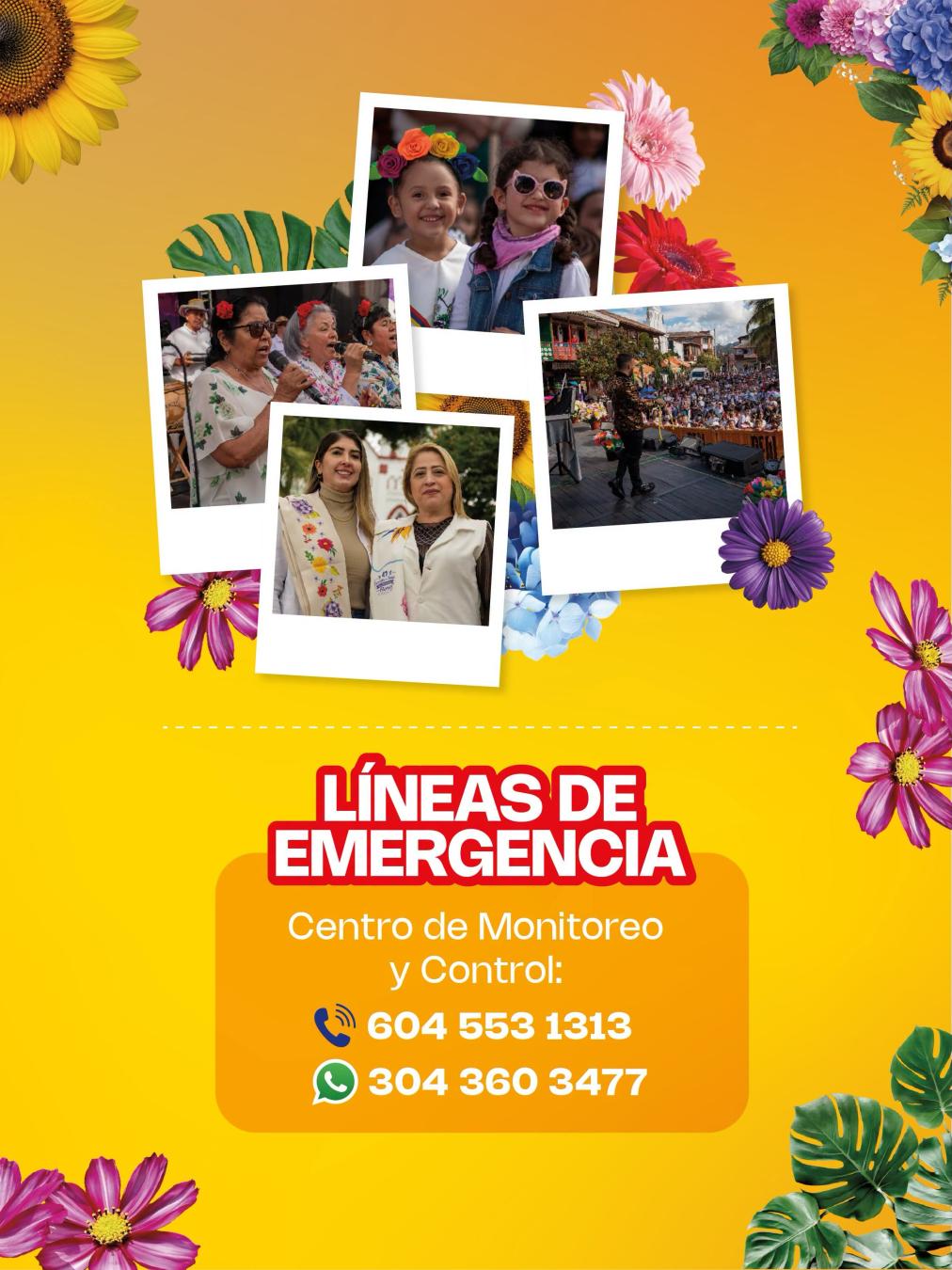 Programación 48ª Fiestas del Toldo, las Bicicletas y las Flores 2026