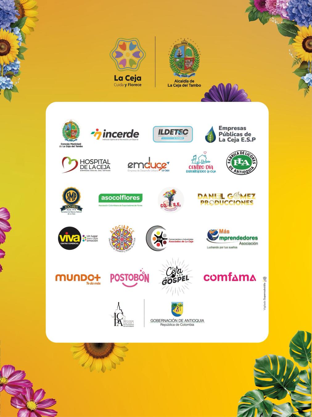 Programación 48ª Fiestas del Toldo, las Bicicletas y las Flores 2026