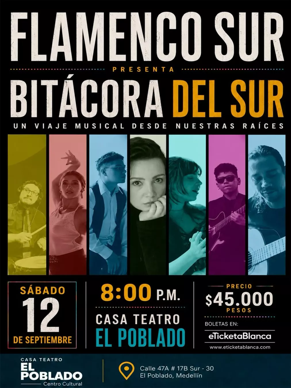 Bitácora del Sur